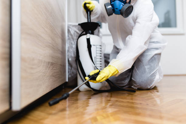 Best Bed Bug Extermination  in St John, MO