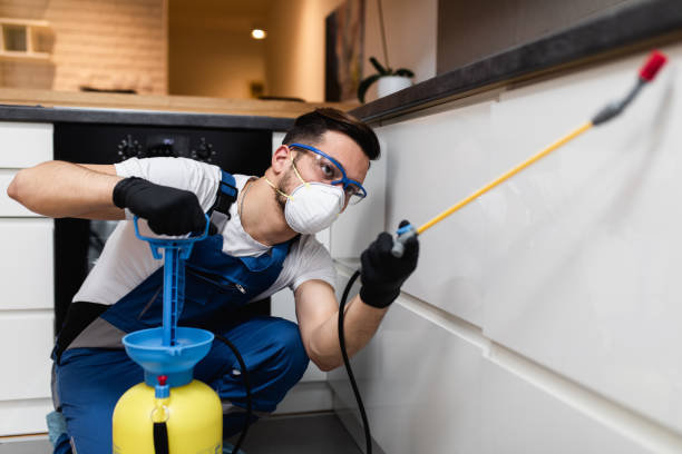 Pest Control Cost in St John, MO