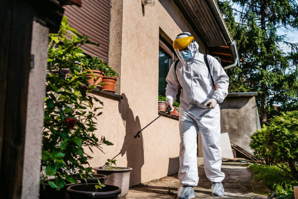 Best Best Pest Control Companies  in St John, MO