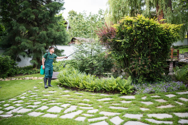 Best Residential Pest Control  in St John, MO
