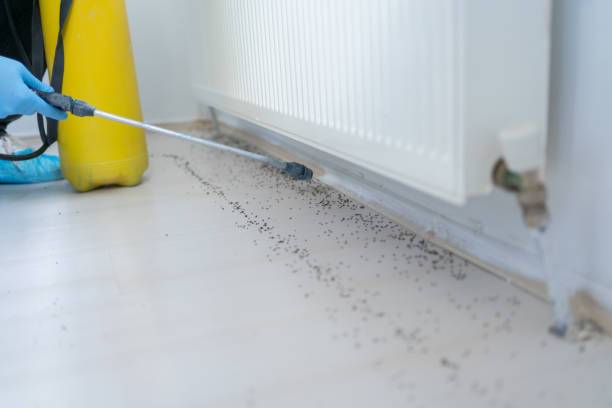 Best Pest Removal Services  in St John, MO