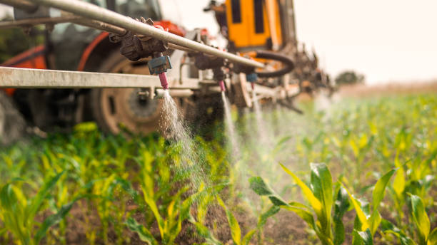 Best Pest Control Cost  in St John, MO